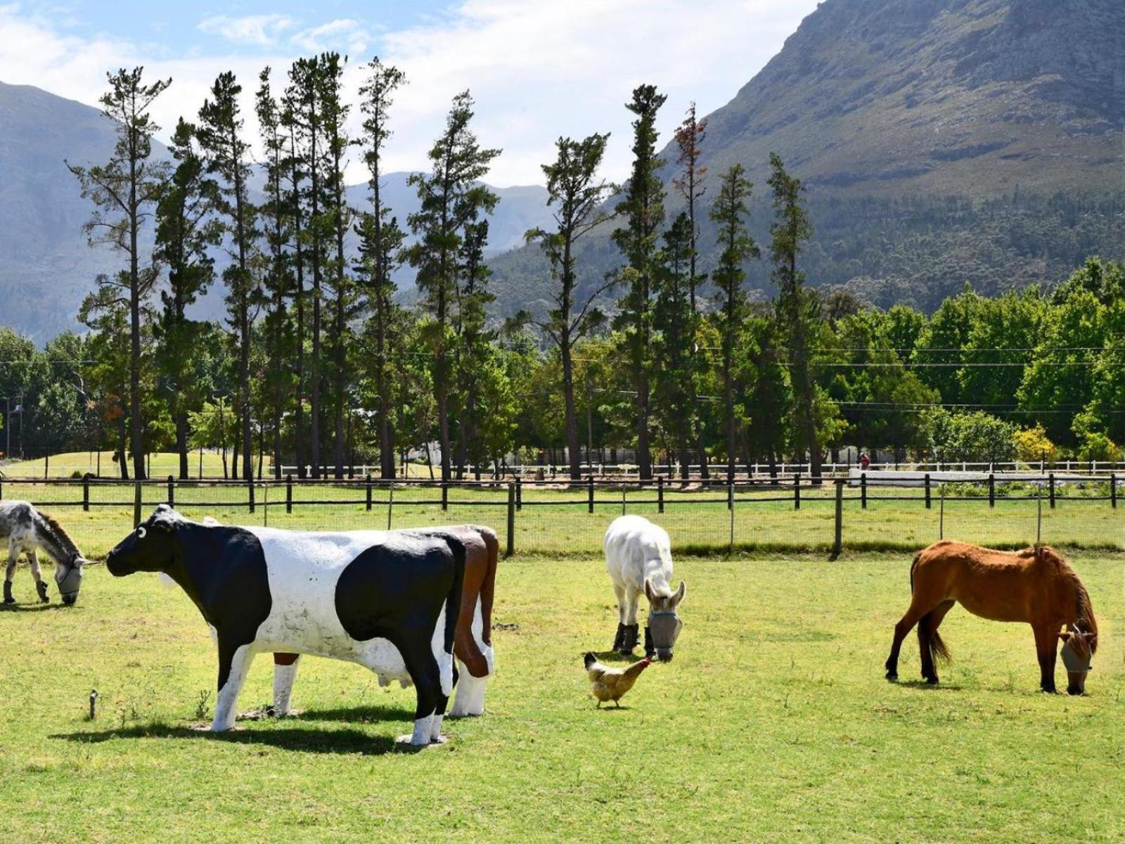 Auberge La Dauphine Guest House Franschhoek Buitenkant foto