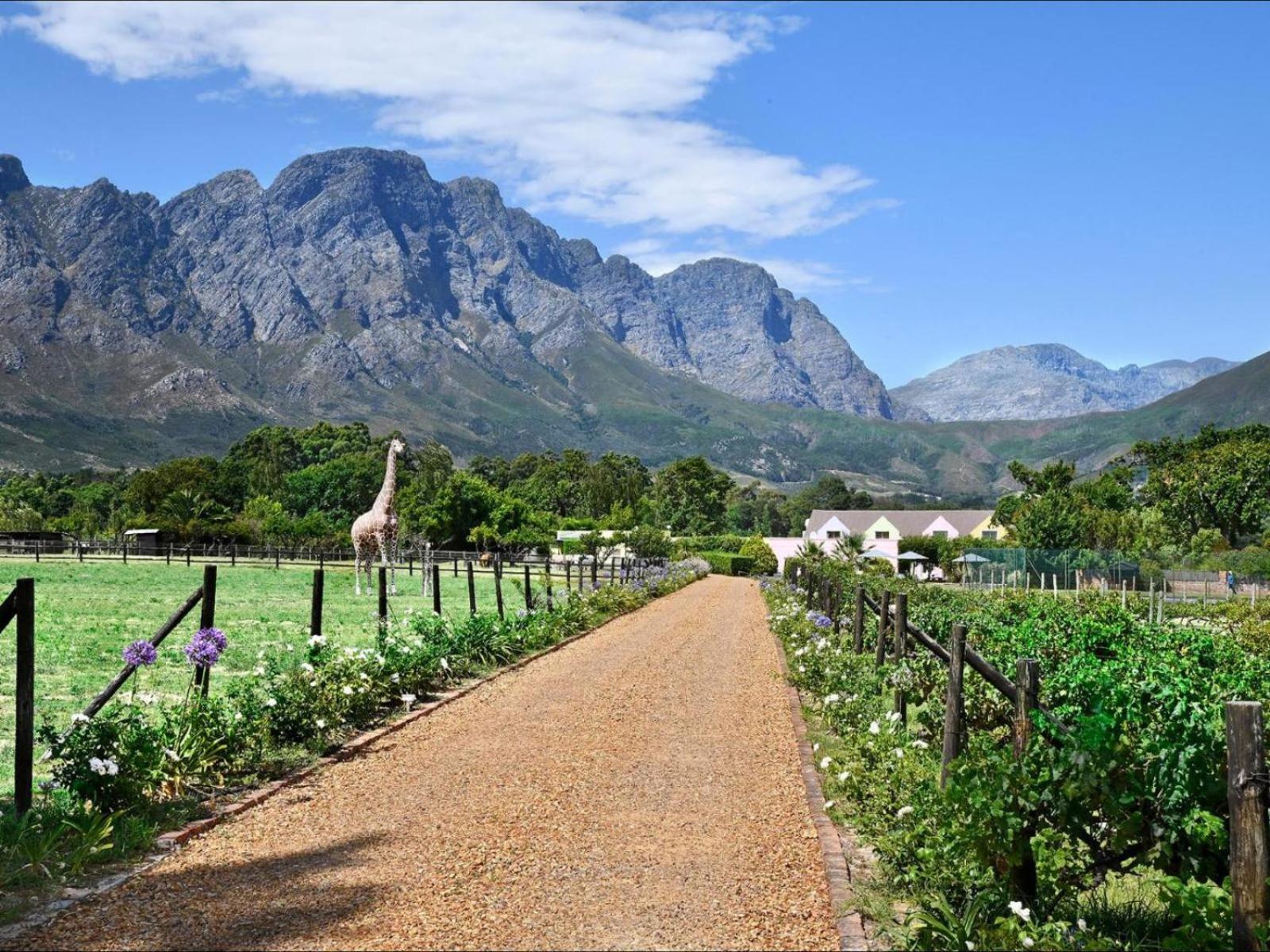 Auberge La Dauphine Guest House Franschhoek Buitenkant foto